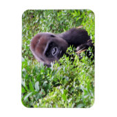 Magnet flexible Gorilla (Vertical)