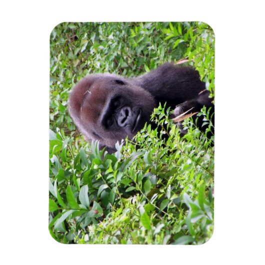 Magnet flexible Gorilla (Vertical)