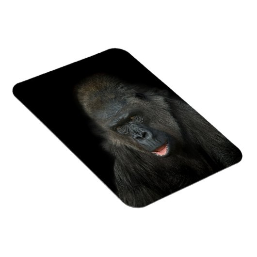 Magnet Flexible Gorilla Biddy (Côté Droit)
