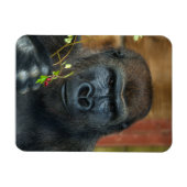Magnet Flexible Gorilla Et Ses Berries Photo (Horizontal)