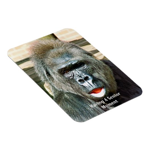 MAGNET FLEXIBLE GORILLA FRAÎCHE (Côté Droit)