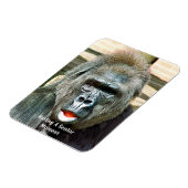 MAGNET FLEXIBLE GORILLA FRAÎCHE (Côté Gauche)