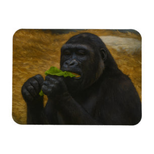 Magnet Flexible Gorilla Grace - Portrait réaliste de la faune