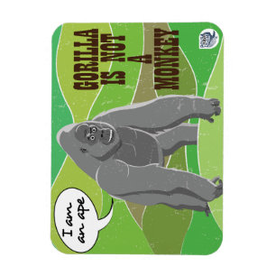 Magnet Flexible Gorilla n'est pas un singe