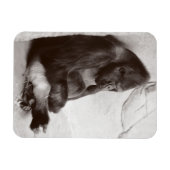 Magnet Flexible Gorilla Photographie Dormir (Horizontal)
