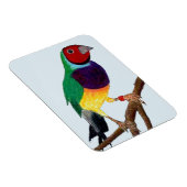 Magnet Flexible ~ Gouldian Finch ~ Art original ~ (Côté Droit)