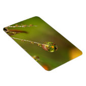 Magnet Flexible Goutte d'eau en gros plan (Côté Droit)