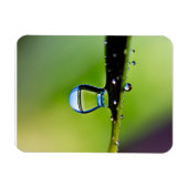 Magnet Flexible Gouttes d'eau de macro (Horizontal)