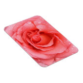 Magnet Flexible Gouttes d'eau de rose rose rouge romantique (Côté Droit)