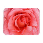 Magnet Flexible Gouttes d'eau de rose rose rouge romantique (Horizontal)