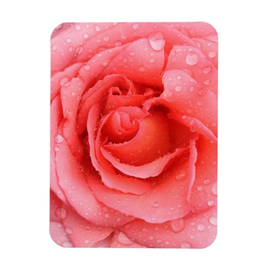 Magnet Flexible Gouttes d'eau de rose rose rouge romantique (Vertical)