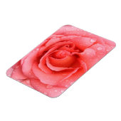Magnet Flexible Gouttes d'eau de rose rose rouge romantique (Côté Gauche)