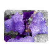 Magnet Flexible gouttes d'eau sur iris (Horizontal)