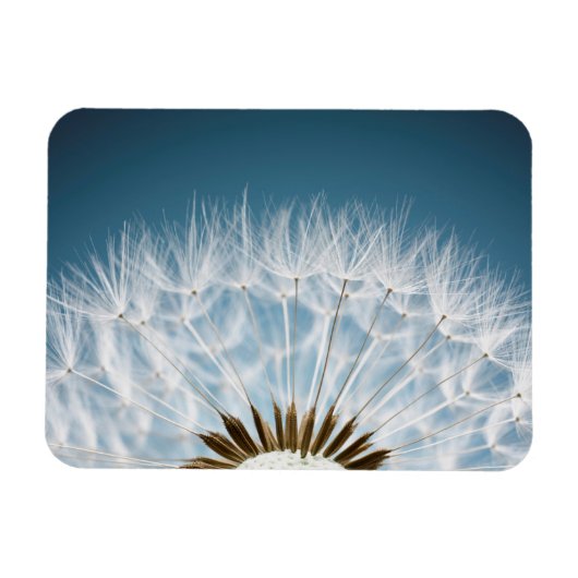 Magnet Flexible Graines de Dandelion (Horizontal)