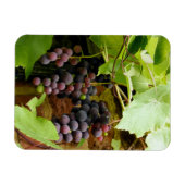 MAGNET FLEXIBLE GRAISSES NOIRES (Horizontal)