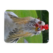 Magnet Flexible Grand aimant à coq (Horizontal)