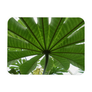 Magnet Flexible Grand aimant à feuilles vertes 3 po x 4 po