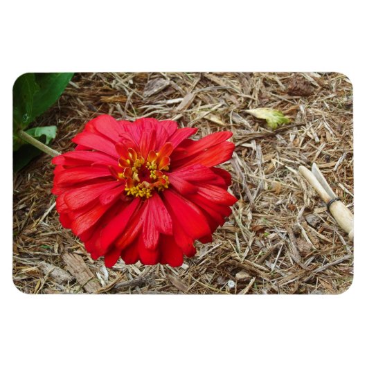 Magnet Flexible Grand aimant à fleurs rouges (Horizontal)