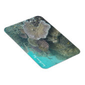 Magnet Flexible grand aimant barrière corail (Côté Droit)