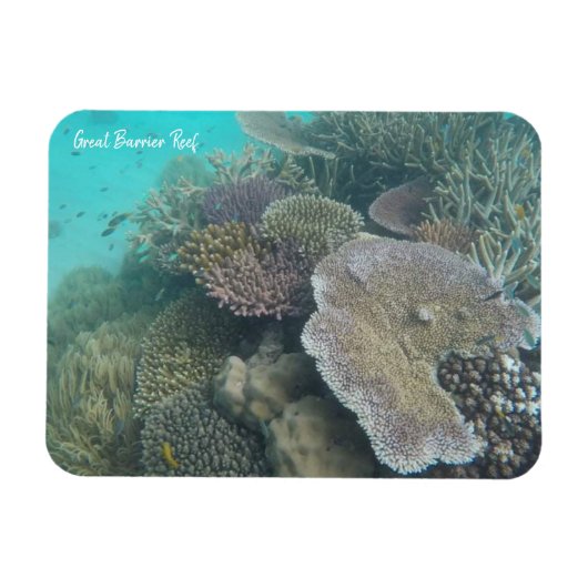 Magnet Flexible grand aimant barrière corail (Horizontal)