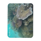 Magnet Flexible grand aimant barrière corail (Vertical)
