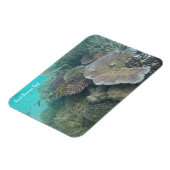 Magnet Flexible grand aimant barrière corail (Côté Gauche)