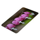 Magnet Flexible Grand aimant du coeur saignant (Côté Gauche)