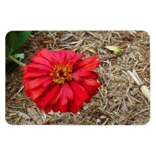 Magnet Flexible Grand aimant rouge de fleur
