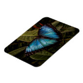 Magnet Flexible Grand, beau, papillon bleu (Côté Gauche)