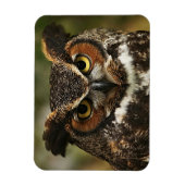 Magnet Flexible Grand Chouette à cornes Gros plan sur aimant photo (Vertical)