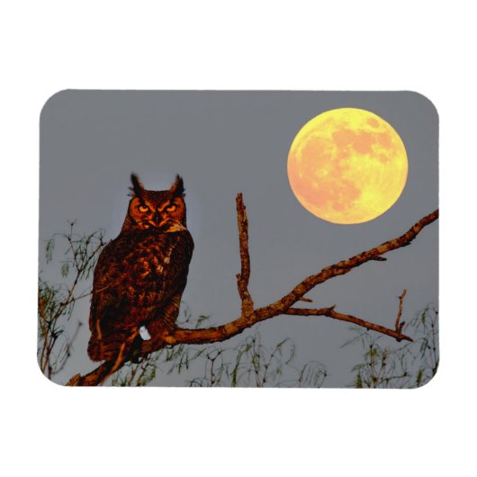 Magnet Flexible Grand-duc d'Amérique | Pleine Lune (Horizontal)