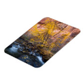 Magnet Flexible Grand Escalier-Escalante Monument National (Côté Gauche)