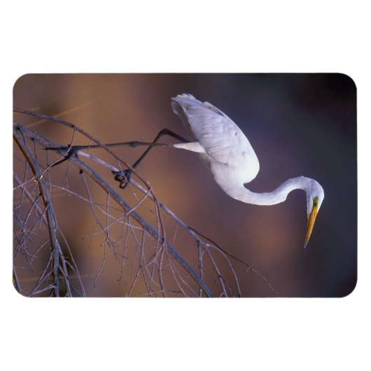 Magnet Flexible Grand feu blanc (Horizontal)