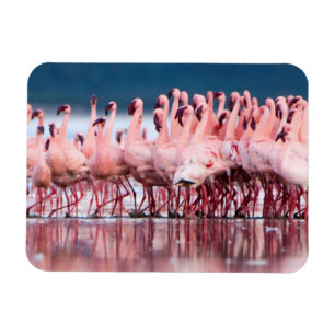 Magnet Flexible Grand Groupe De Petits Flamants