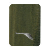 Magnet Flexible Grand héron blanc Aimant photo flexible (Vertical)