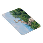 Magnet Flexible Grand héron bleu (Côté Droit)