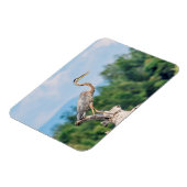 Magnet Flexible Grand héron bleu (Côté Gauche)
