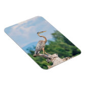 Magnet Flexible Grand héron bleu (Côté Droit)