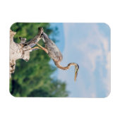 Magnet Flexible Grand héron bleu (Horizontal)