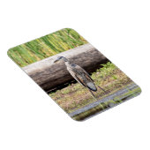 Magnet Flexible Grand Héron bleu debout dans le lac Champlain (Côté Droit)