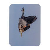 Magnet Flexible Grand Héron bleu en vol (Vertical)
