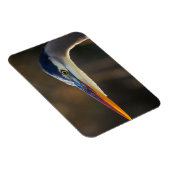 Magnet Flexible Grand Héron bleu, portrait rapproché (Côté Droit)