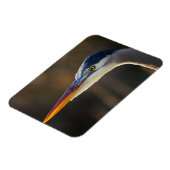 Magnet Flexible Grand Héron bleu, portrait rapproché (Côté Gauche)