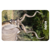 Magnet Flexible Grand Kudu (Horizontal)