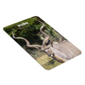 Magnet Flexible Grand Kudu (Côté Droit)