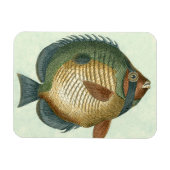 Magnet Flexible Grand Poisson Coloré (Horizontal)