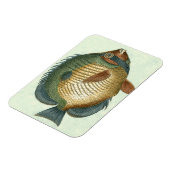 Magnet Flexible Grand Poisson Coloré (Côté Gauche)
