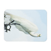 Magnet Flexible Grand portrait de héron blanc (Horizontal)