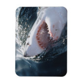 Magnet Flexible Grand requin blanc en mer (Vertical)