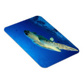 Magnet Flexible Grande barrière de corail, Australie 2 (Côté Droit)